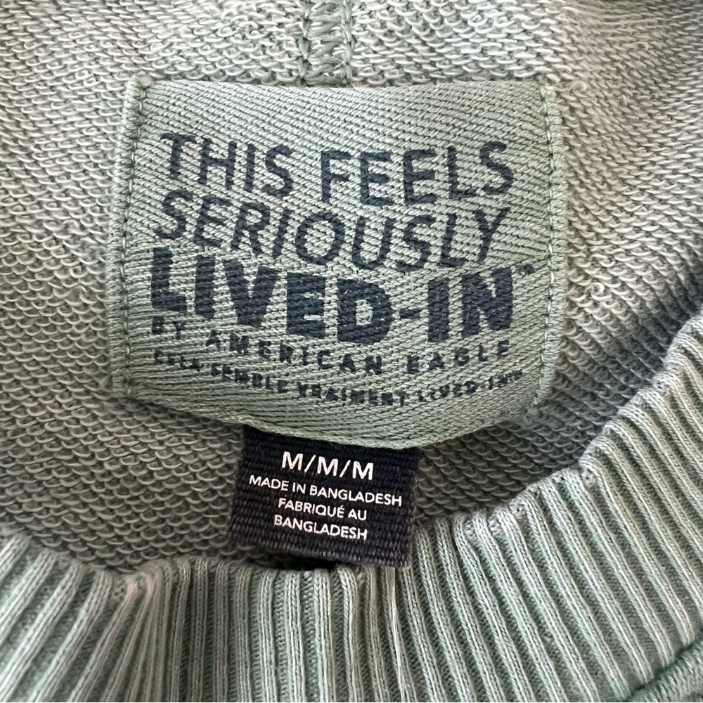 Aerie The Happiest Oversized Crewneck Sweatshirt in Sage Green - Picture 4 of 7